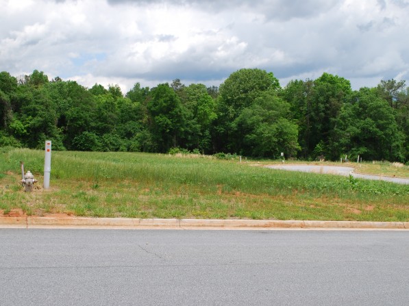 Click to view the next photo.