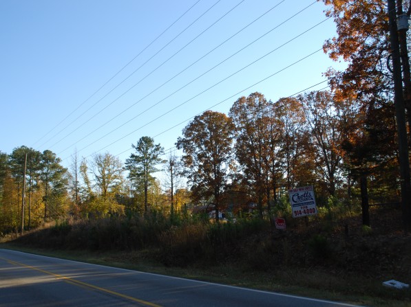 Click to view the next photo.