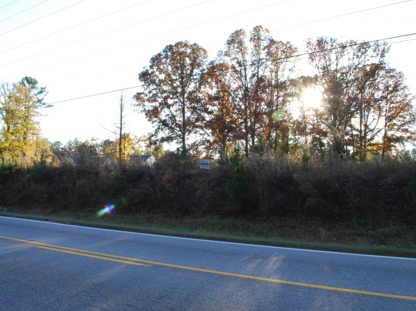 Click to view the next photo.