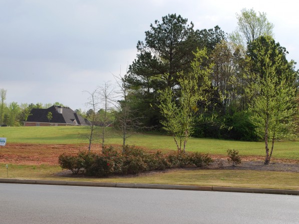 Click to view the next photo.