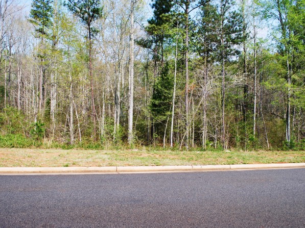 Click to view the next photo.