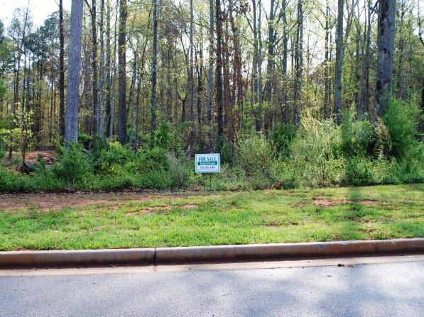 Click to view the next photo.