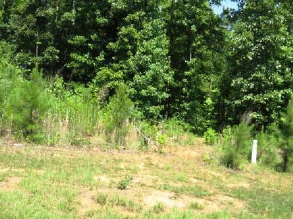 Click to view the next photo.