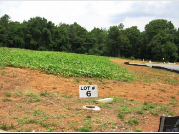 Click to view the next photo.