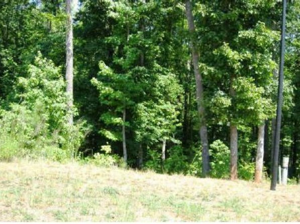 Click to view the next photo.