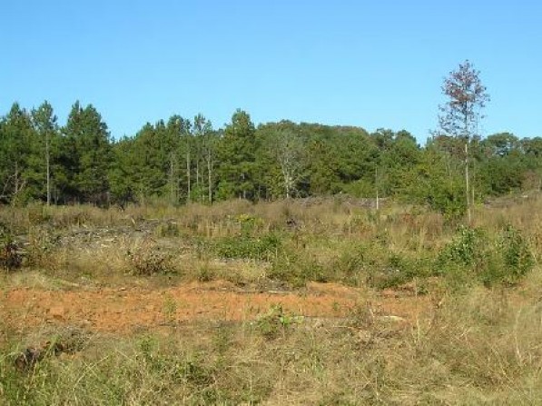 Click to view the next photo.